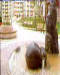 �t�o�u�{�Ʒ~